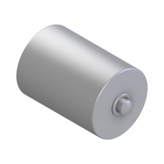 BEARING ROLLER D 25 MASSIVE