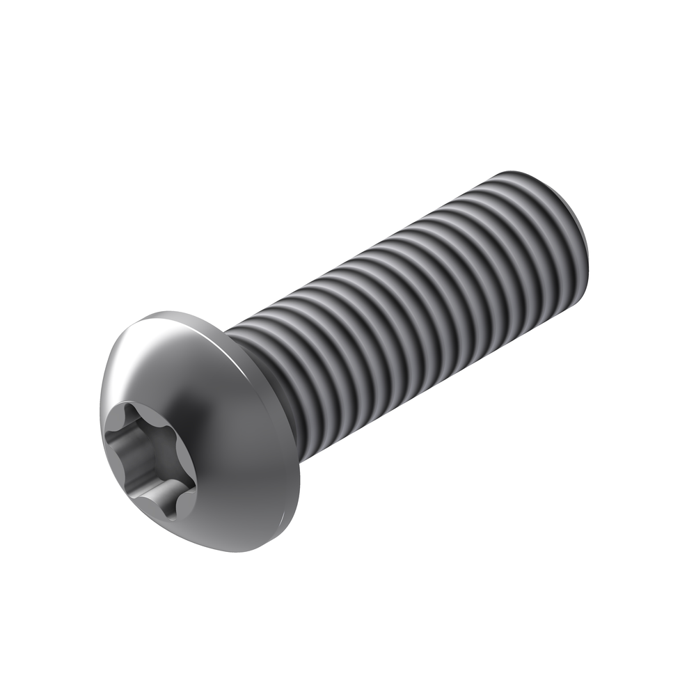 Filister head screw M8x25 SF